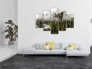 Obraz lesa v mrakoch (150x105 cm)