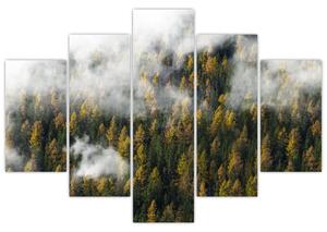 Obraz lesa v mrakoch (150x105 cm)