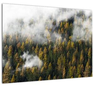 Obraz lesa v mrakoch (70x50 cm)