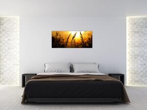 Obraz zapadajúceho slnka (120x50 cm)