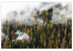 Obraz lesa v mrakoch (90x60 cm)