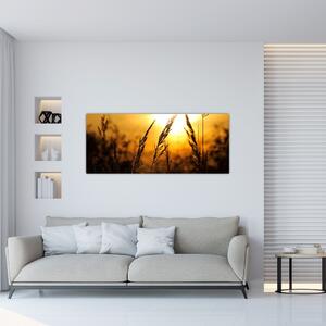 Obraz zapadajúceho slnka (120x50 cm)