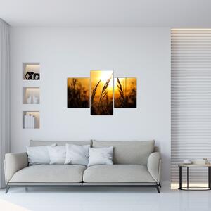 Obraz zapadajúceho slnka (90x60 cm)