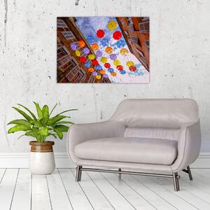 Obraz farebných dáždnikov (70x50 cm)