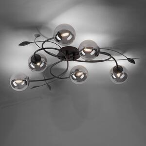 Paul Neuhaus Widow stropné LED svietidlo, 6-pl