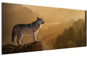 Obraz vlka na skale (120x50 cm)