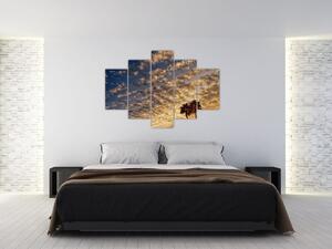Obraz - Palmy medzi mrakmi (150x105 cm)