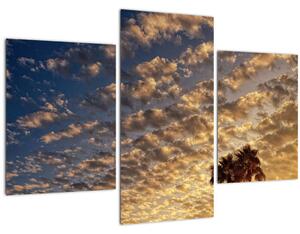 Obraz - Palmy medzi mrakmi (90x60 cm)