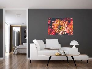 Obraz - Chryzantémy (90x60 cm)