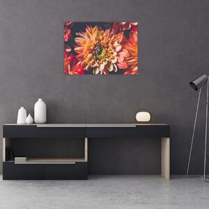 Obraz - Chryzantémy (70x50 cm)