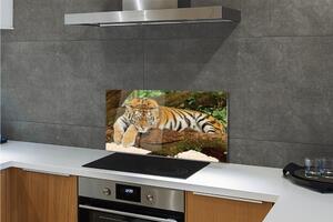 Nástenný panel  tiger tree 100x50 cm