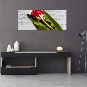 Obraz červeného tulipánu (120x50 cm)