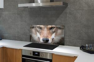 Nástenný panel  wolf Eyes 100x50 cm