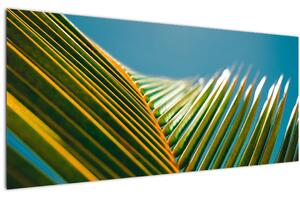 Obraz - Detail palmového listu (120x50 cm)
