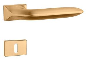 Dverové kovanie MP - AS - GLADIOLA - RT 7S (OLS - Mosadz brúsená), kľučka-kľučka, Otvor pre obyčajný kľúč BB, MP OLS (mosadz brúsená a lakovaná)