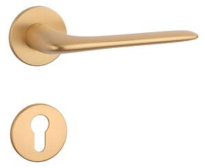 Dverové kovanie MP - AS - VIOLA - R 5S (OLS - Mosadz brúsená), kľučka-kľučka, Bez spodnej rozety, MP OLS (mosadz brúsená a lakovaná)