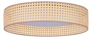 Duolla - LED Stropné svietidlo ROLLER LED/24W/230V pr. 45 cm ratan