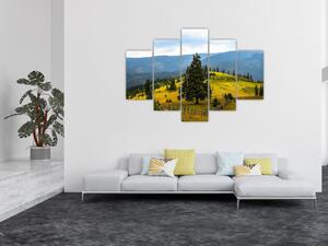 Obraz - Horská lúka (150x105 cm)