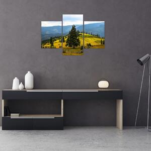 Obraz - Horská lúka (90x60 cm)