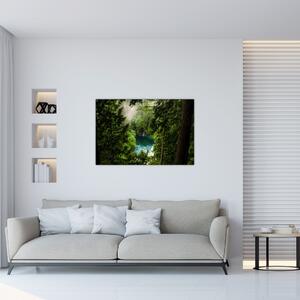 Obraz - Priezor medzi stromami (90x60 cm)