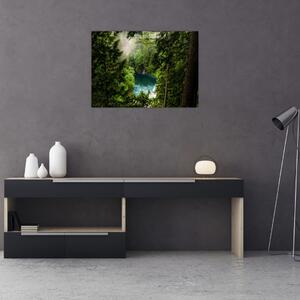 Obraz - Priezor medzi stromami (70x50 cm)
