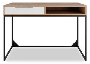 Písací stôl LANDRO, 120x80x60, hikora/biely mat