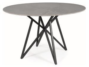 Jedálenský stôl ZAKY, 120x76, biela/strieborná