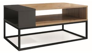 Konferenčný stolík MARKA, 100x60x45, dub artisan/čierna