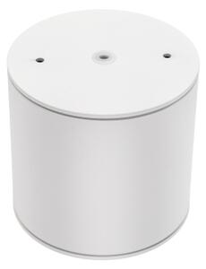 Kúpeľňové bodové svietidlo CHLOE AR111 1xGU10/12W/230V IP65 guľatý biela
