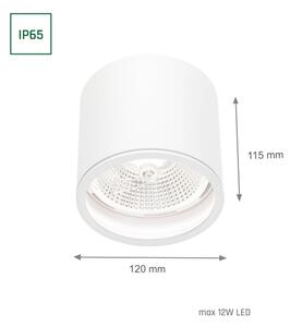 Kúpeľňové bodové svietidlo CHLOE AR111 1xGU10/12W/230V IP65 guľatý biela