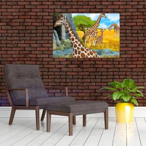 Obraz - Žirafia rodina (90x60 cm)