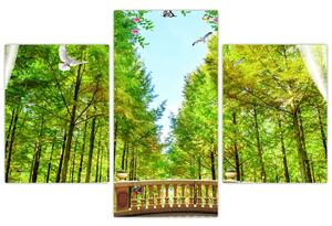 Obraz - Výhľad na les (90x60 cm)