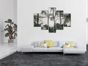 Obraz - Jungle v rannej hmle (150x105 cm)