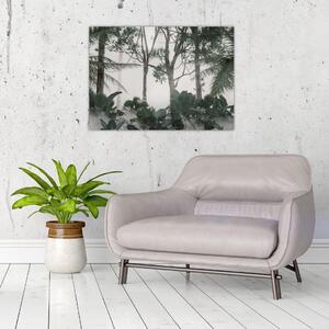 Obraz - Jungle v rannej hmle (70x50 cm)