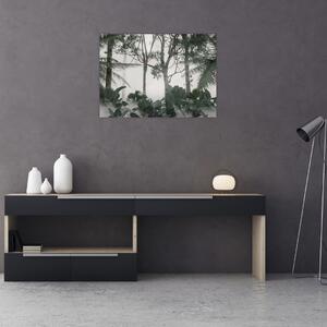 Obraz - Jungle v rannej hmle (70x50 cm)