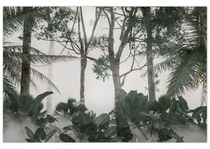 Obraz - Jungle v rannej hmle (90x60 cm)