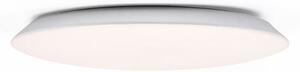 Rabalux 71124 - LED stropné svietidlo RORIK LED/24W/230V 4000K 38 cm