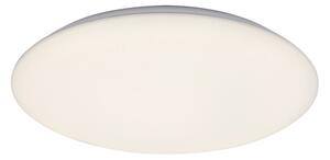 Rabalux 71124 - LED stropné svietidlo RORIK LED/24W/230V 4000K 38 cm