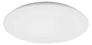 Rabalux 71124 - LED stropné svietidlo RORIK LED/24W/230V 4000K 38 cm