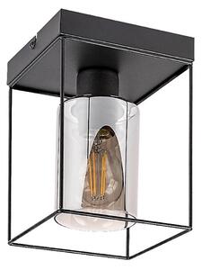 Rabalux 71031 - Stropné svietidlo CHADWICK 1xE27/25W/230V