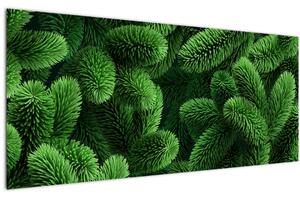 Obraz - Vetvičky ihličnanu (120x50 cm)