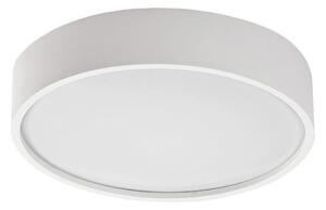 Rabalux 75012 - LED Stropné svietidlo so senzorom LARCIA LED/19W/230V IP44 biela