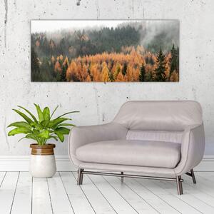 Obraz - Jesenný les (120x50 cm)