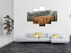 Obraz - Jesenný les (150x105 cm)