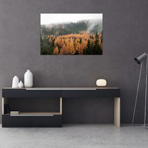 Obraz - Jesenný les (90x60 cm)