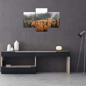 Obraz - Jesenný les (90x60 cm)