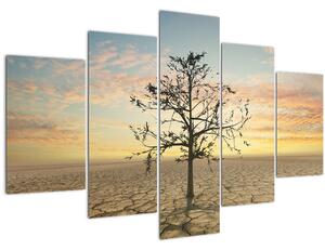 Obraz - Strom na púšti (150x105 cm)