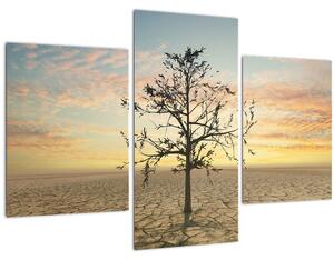 Obraz - Strom na púšti (90x60 cm)