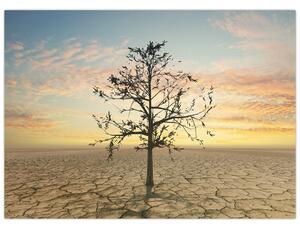 Obraz - Strom na púšti (70x50 cm)