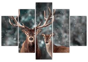 Obraz - Jeleň a laň v zasneženom lese (150x105 cm)